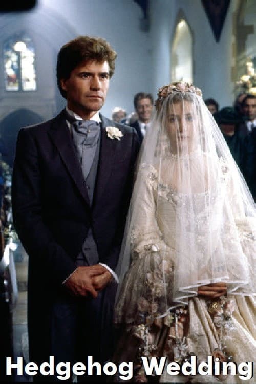 Hedgehog Wedding poster