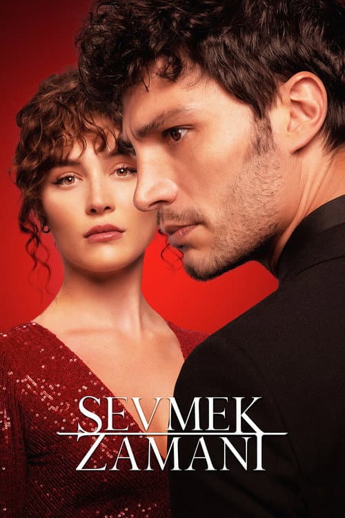 Time to Love poster