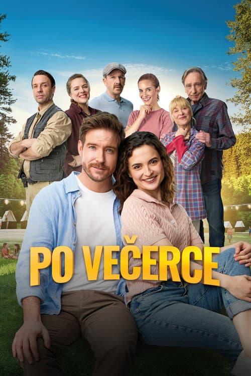 Second Chances poster