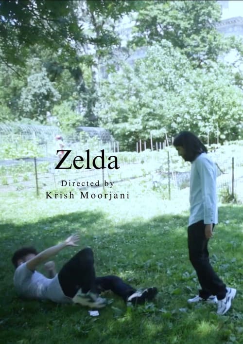 Zelda poster
