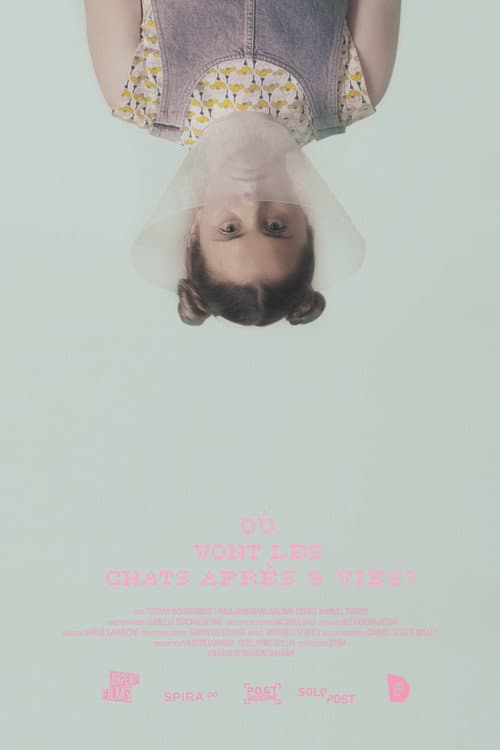 Where Do Cats Go After 9 Lives? poster