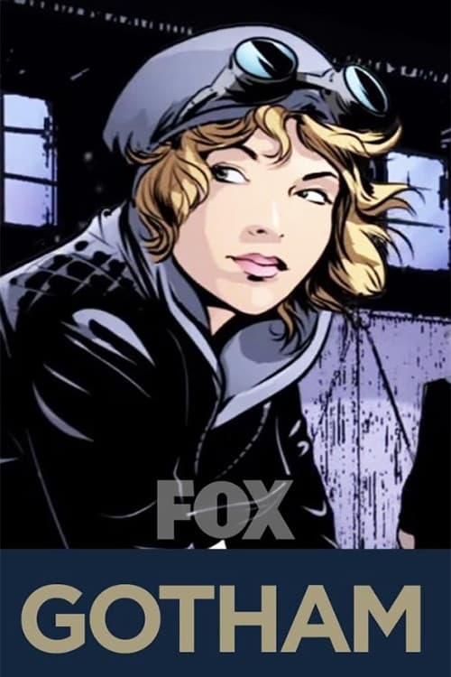 Gotham Stories poster