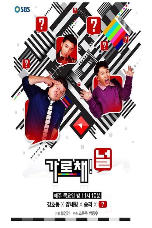 가로채널 poster