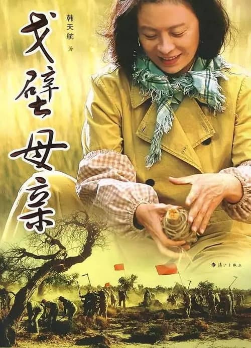 戈壁母亲 poster