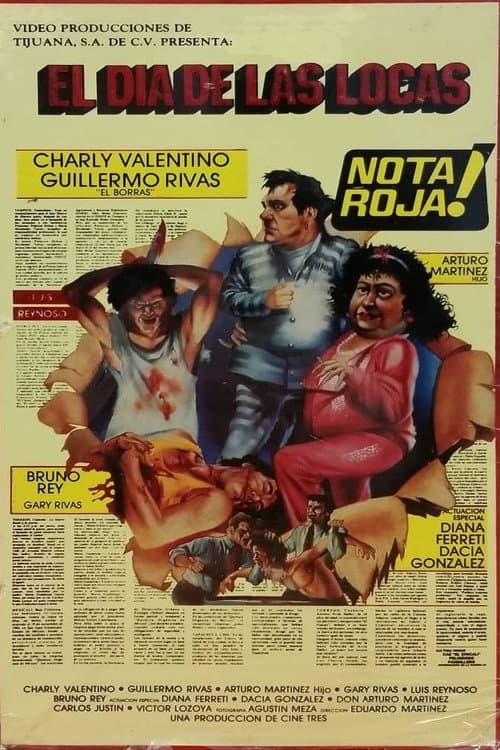El día de las locas poster
