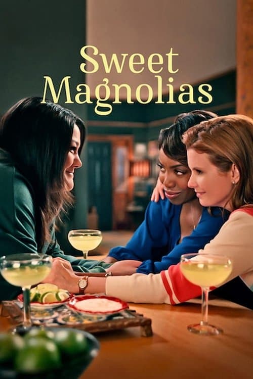 Sweet Magnolias poster
