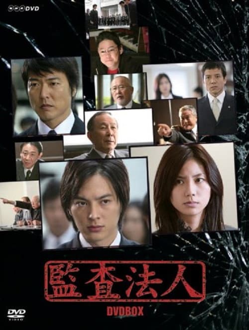 The Auditor poster