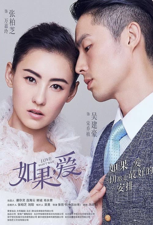 Love Won't Wait poster