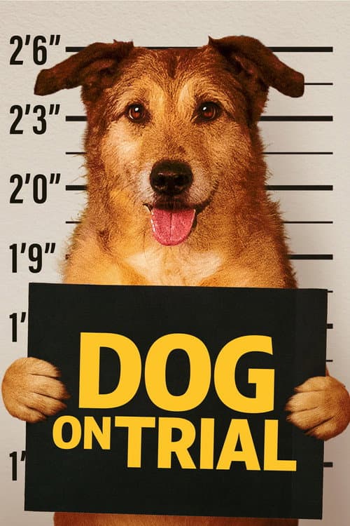 Dog on Trial poster