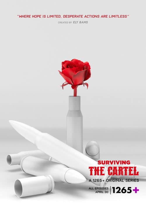 Sobreviviendo al cártel poster