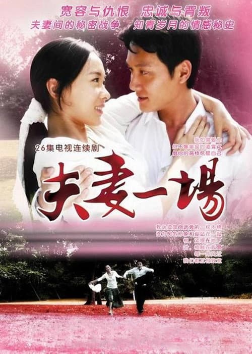 夫妻一场 poster