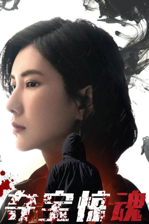 夺宝惊魂 poster