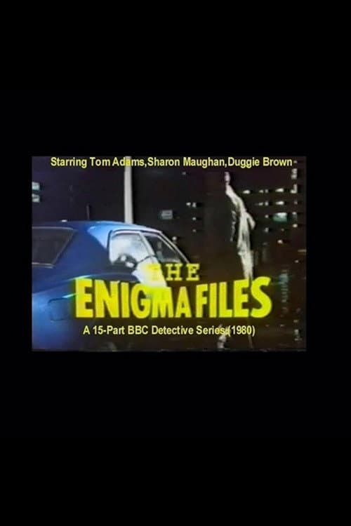 The Enigma Files poster