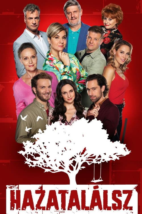 Hazatalálsz poster
