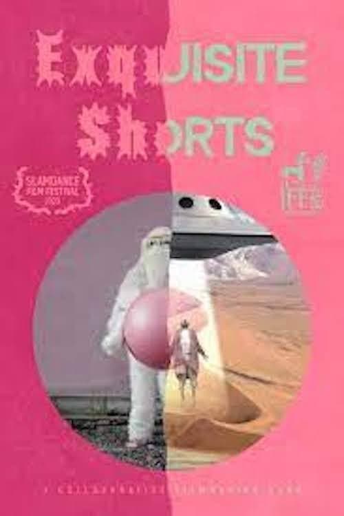 Exquisite Shorts poster