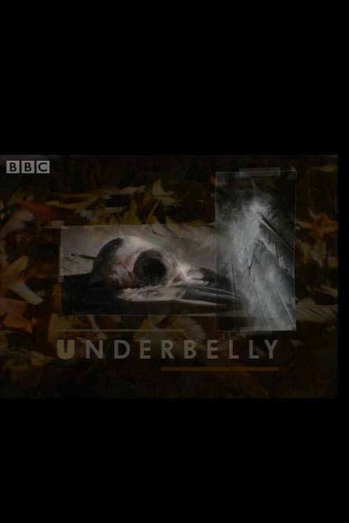 Underbelly poster