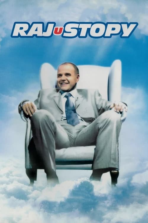 Rajustopy poster