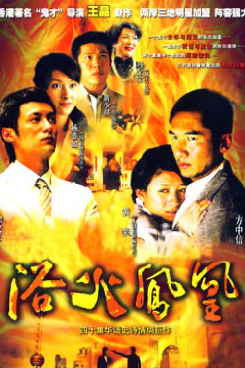 浴火凤凰 poster