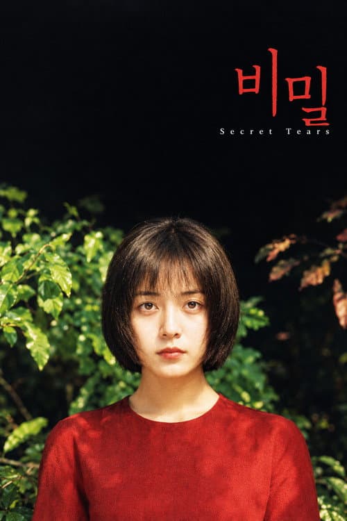 Secret Tears poster