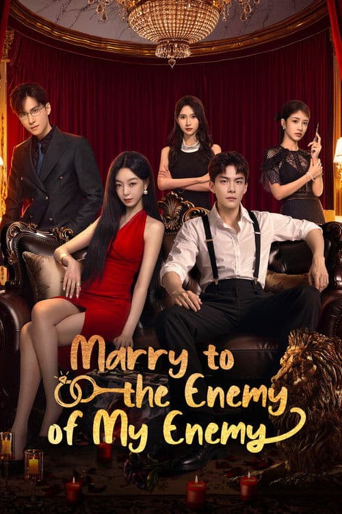 Marry to the Enemy of My Enemy poster