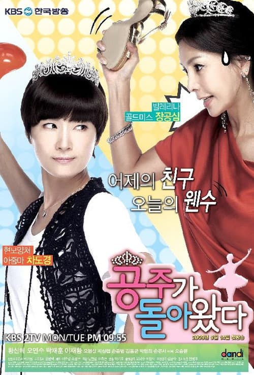 공주가 돌아왔다 poster