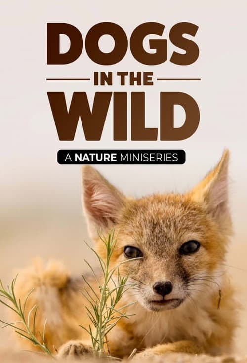 Dogs in the Wild: Meet the Family poster