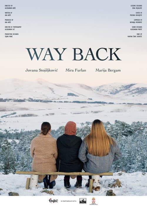 Way Back poster