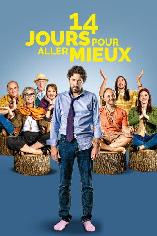 14 Days to Feel Better poster