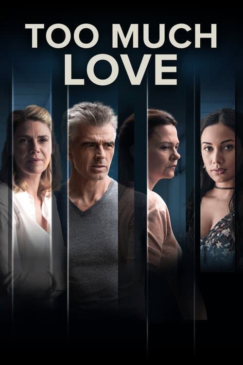 Too Much Love poster