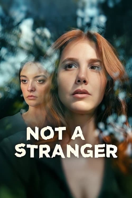 Not a Stranger poster