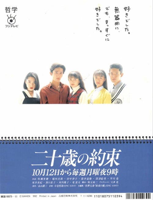 Promise at 20 years poster