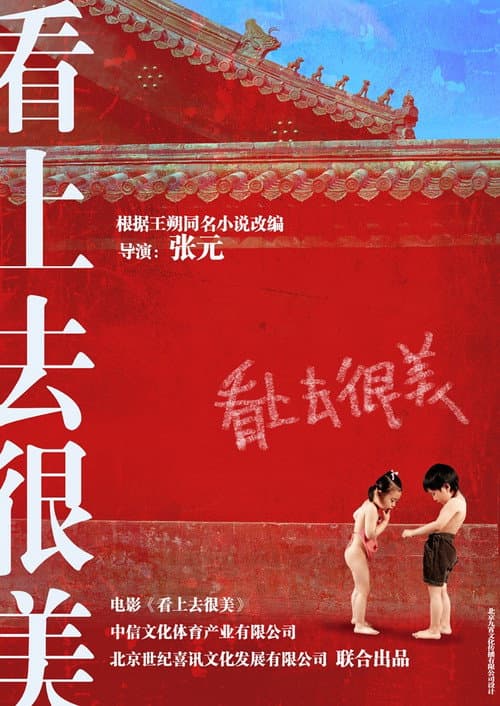 看上去很美 制作特辑 poster