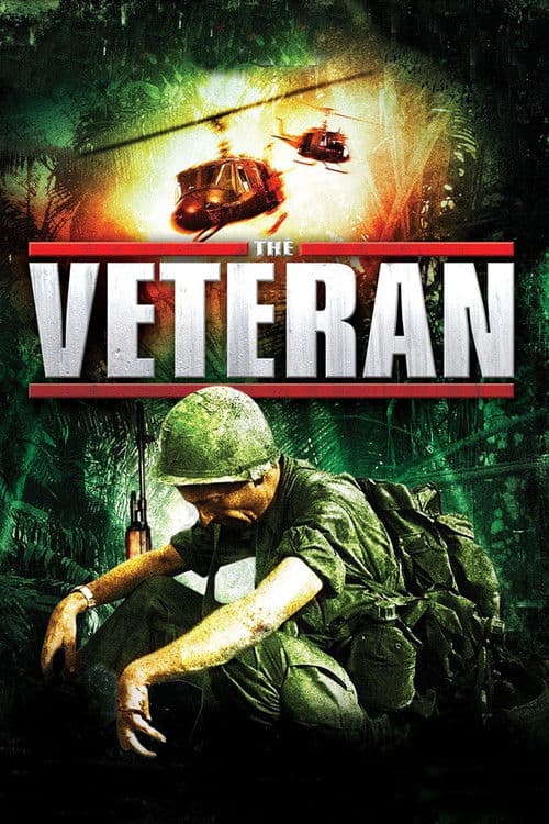 The Veteran poster