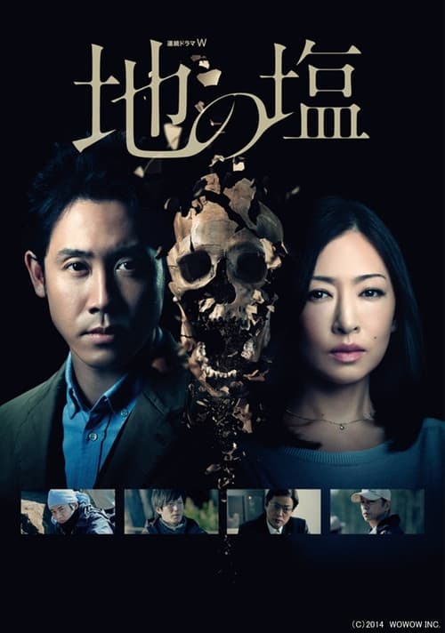 Salt of the Earth poster