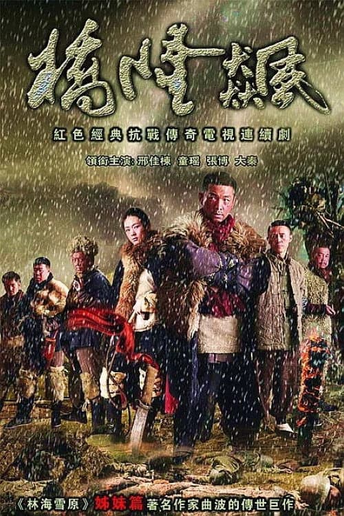桥隆飙 poster