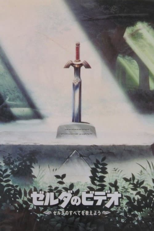 The Video of Zelda: Everything About Zelda poster