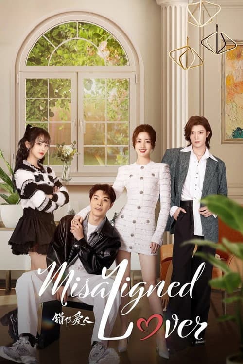 Misaligned Lover poster