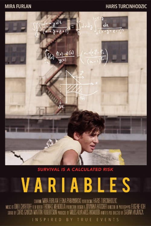 Variables poster