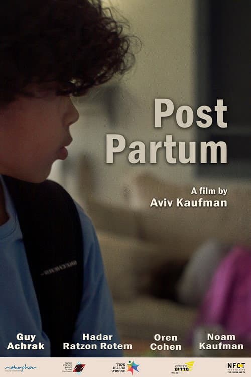 Post Partum poster