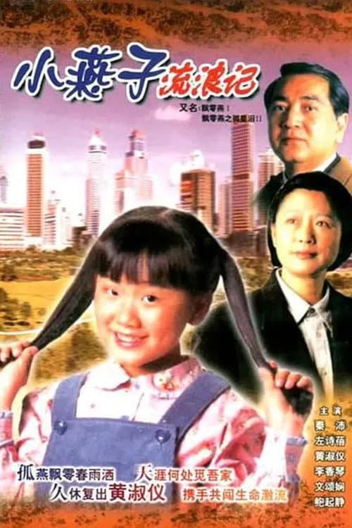 The Little Vagrant Lady poster
