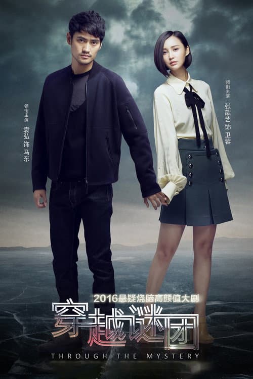 Through The Mystery poster
