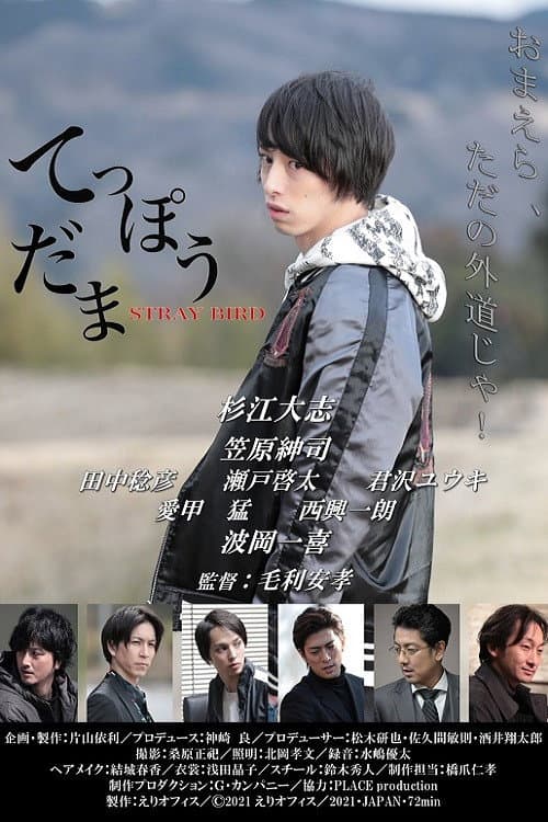 てっぽうだま poster