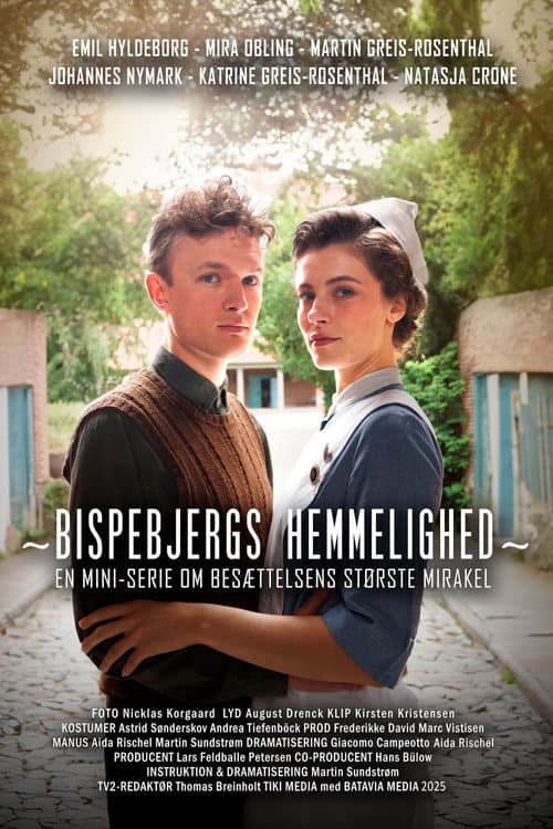 The Secret of Bispebjerg poster