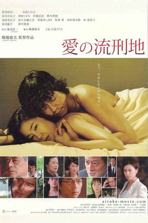Love Never to End poster