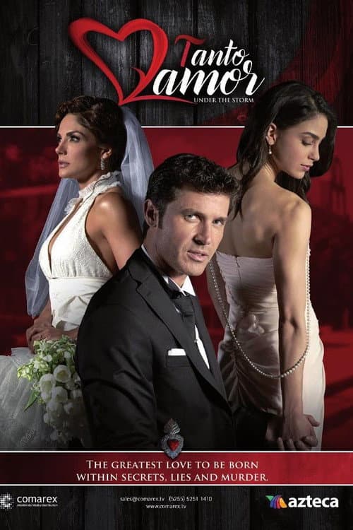 Tanto Amor poster