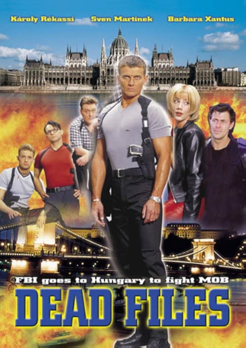 Rendőrsztori poster