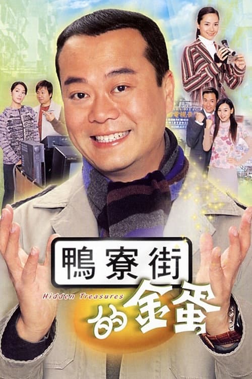 Hidden Treasures poster