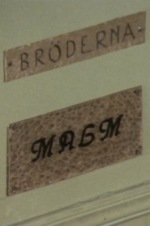 Bröderna Malm poster