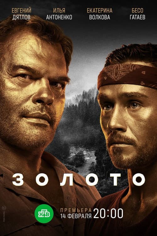 Золото poster