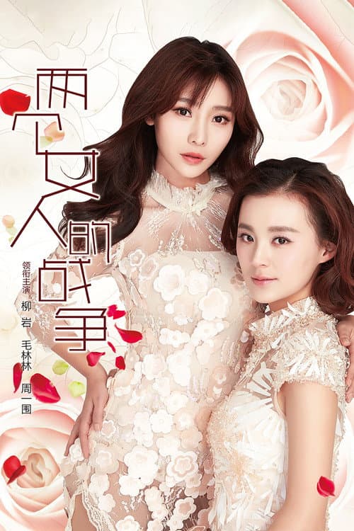 两个女人的战争 poster